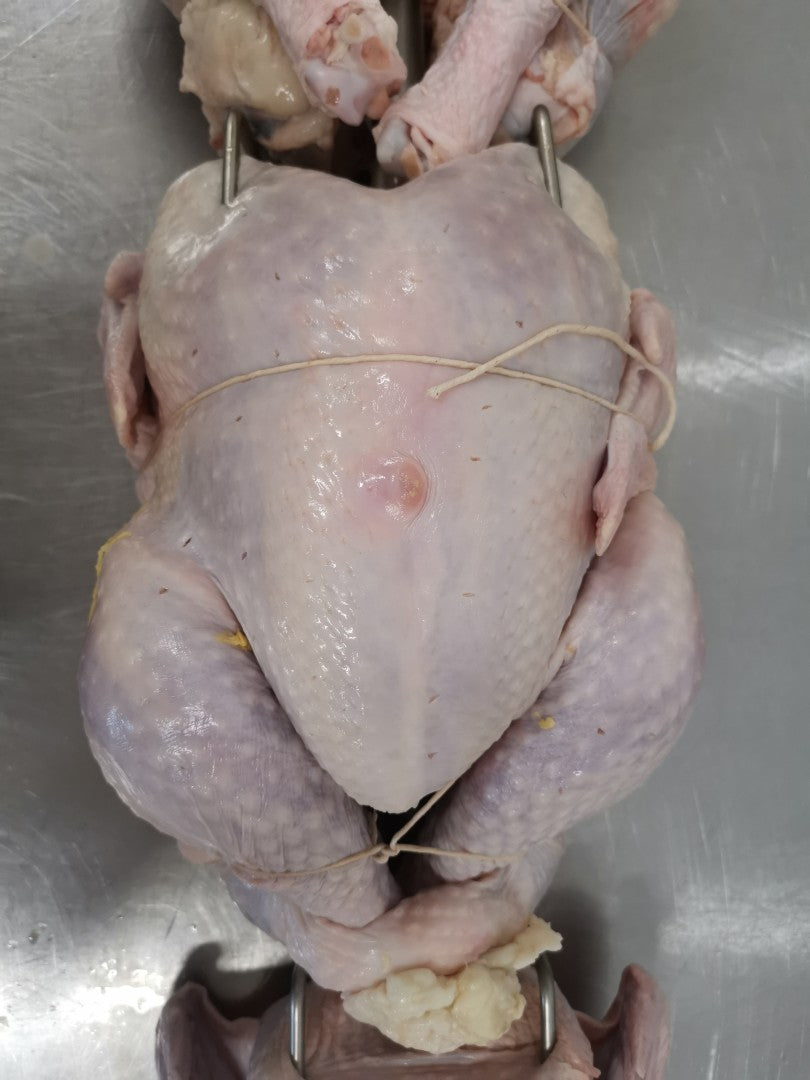 Holiday Catering Made Easy: Roast & Serve Hundreds with the PigOut Roaster