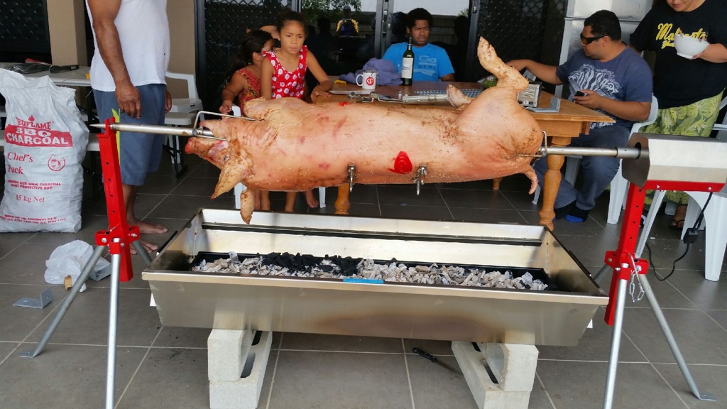 raw pig rotating on a charcoal rotisserie